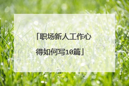 职场新人工作心得如何写10篇