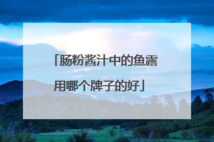 肠粉酱汁中的鱼露用哪个牌子的好