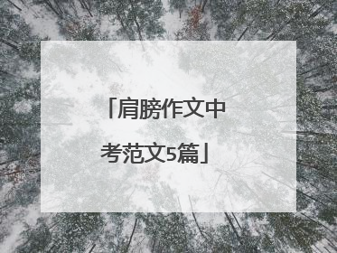 肩膀作文中考范文5篇