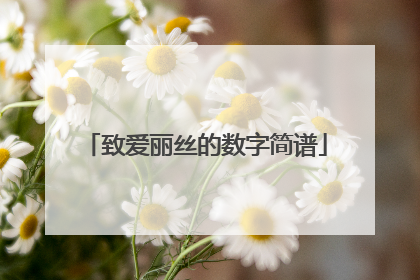 致爱丽丝的数字简谱