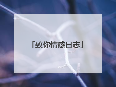 致你情感日志