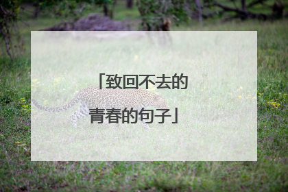 致回不去的青春的句子