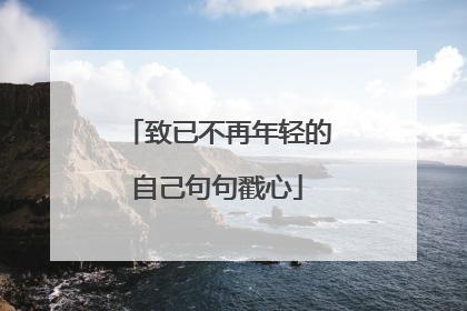 致已不再年轻的自己句句戳心
