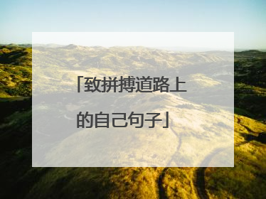 致拼搏道路上的自己句子
