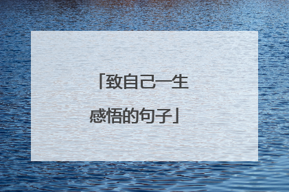 致自己一生感悟的句子