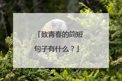 致青春的简短句子有什么?