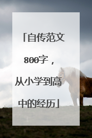自传范文800字,从小学到高中的经历