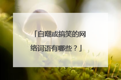 自嘲或搞笑的网络词语有哪些？