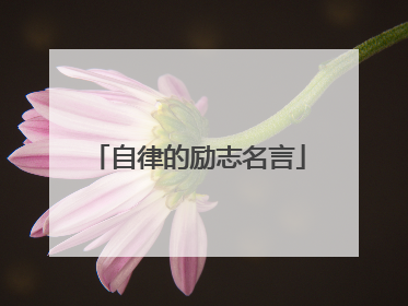 自律的励志名言