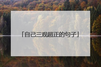 自己三观超正的句子