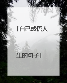 自己感悟人生的句子