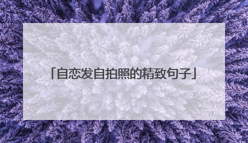 自恋发自拍照的精致句子