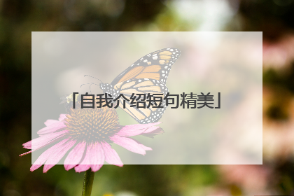 自我介绍短句精美