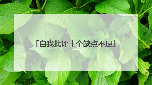 自我批评十个缺点不足
