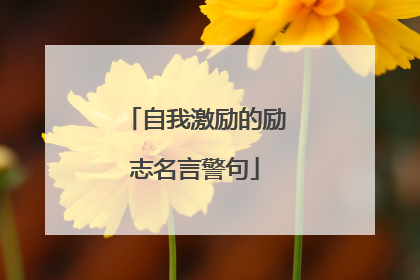 自我激励的励志名言警句