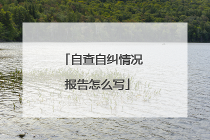 自查自纠情况报告怎么写