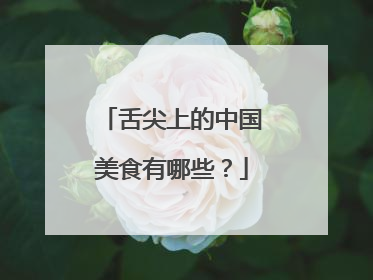 舌尖上的中国美食有哪些?