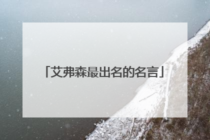 艾弗森最出名的名言