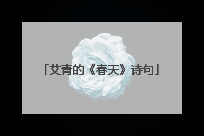 艾青的《春天》诗句