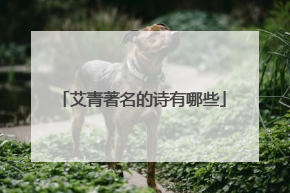 艾青著名的诗有哪些