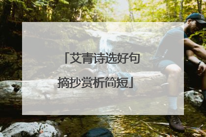艾青诗选好句摘抄赏析简短