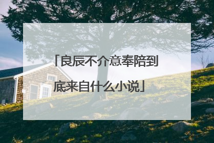 良辰不介意奉陪到底来自什么小说