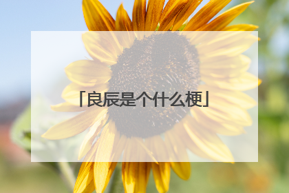 良辰是个什么梗