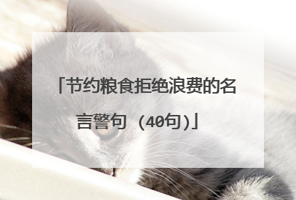 节约粮食拒绝浪费的名言警句 (40句)
