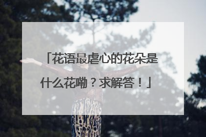 花语最虐心的花朵是什么花嘞？求解答！
