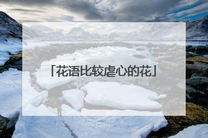 花语比较虐心的花