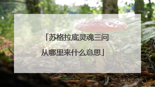 苏格拉底灵魂三问从哪里来什么意思