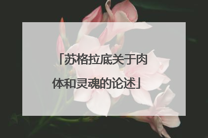 苏格拉底关于肉体和灵魂的论述