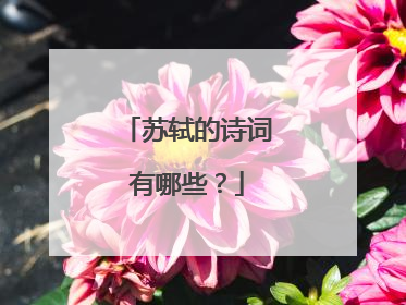 苏轼的诗词有哪些？