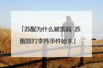 苏醒为什么被雪藏 苏醒怒打李炜事件始末