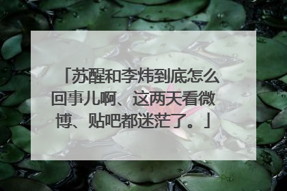 苏醒和李炜到底怎么回事儿啊、这两天看微博、贴吧都迷茫了。