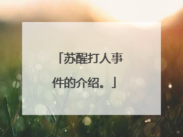 苏醒打人事件的介绍。