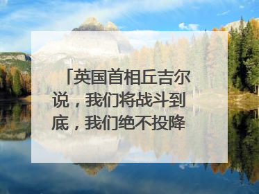 英国首相丘吉尔说，我们将战斗到底，我们绝不投降的英文是什么？不要百度翻译的，要历史课本上的