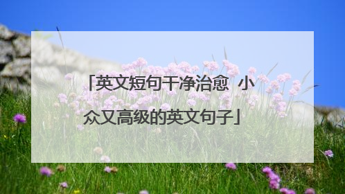 英文短句干净治愈 小众又高级的英文句子