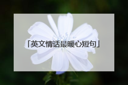 英文情话最暖心短句