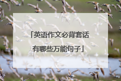 英语作文必背套话 有哪些万能句子