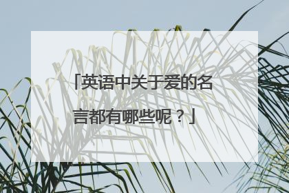 英语中关于爱的名言都有哪些呢？
