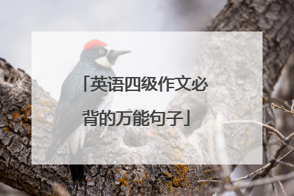 英语四级作文必背的万能句子