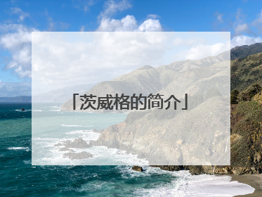 茨威格的简介