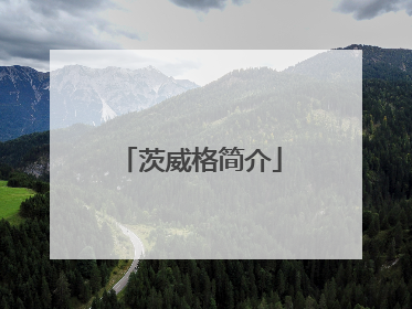 茨威格简介
