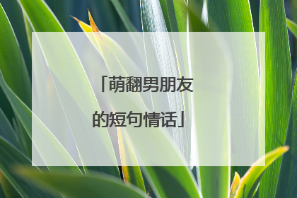 萌翻男朋友的短句情话