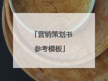 营销策划书参考模板