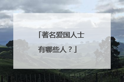 著名爱国人士有哪些人?