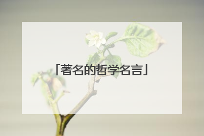 著名的哲学名言