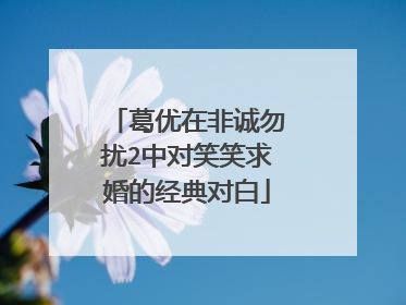 葛优在非诚勿扰2中对笑笑求婚的经典对白
