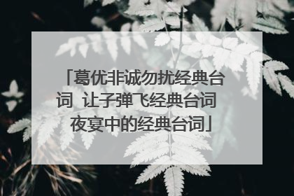 葛优非诚勿扰经典台词 让子弹飞经典台词 夜宴中的经典台词